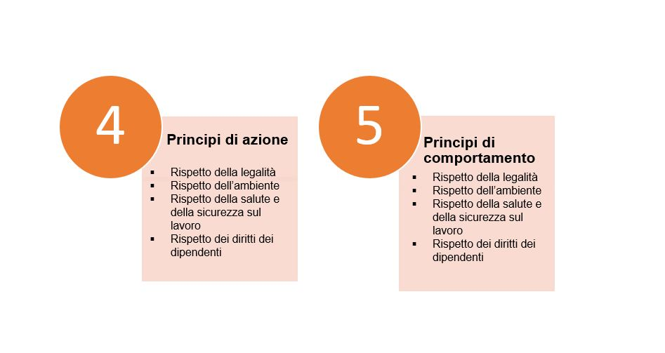 principi di comportamento e azione